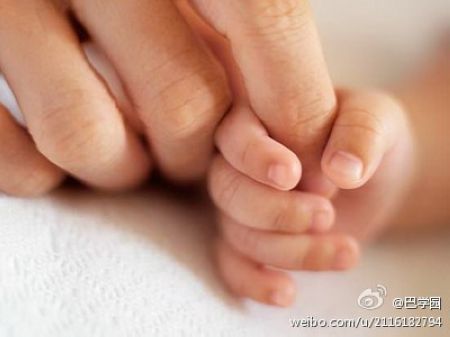点击在新窗口中浏览此图片 点击在新窗口中浏览此图片